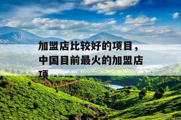 加盟店比较好的项目，中国目前最火的加盟店项