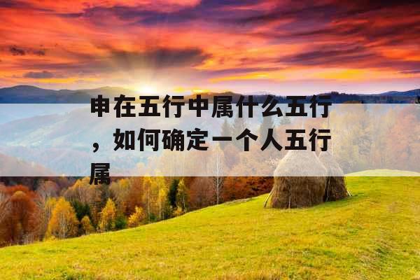 申在五行中属什么五行，如何确定一个人五行属
