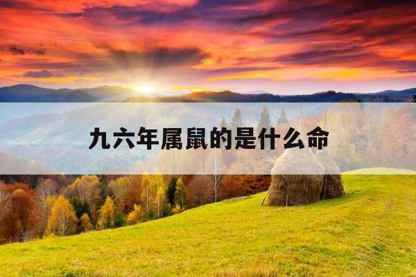 九六年属鼠的是什么命