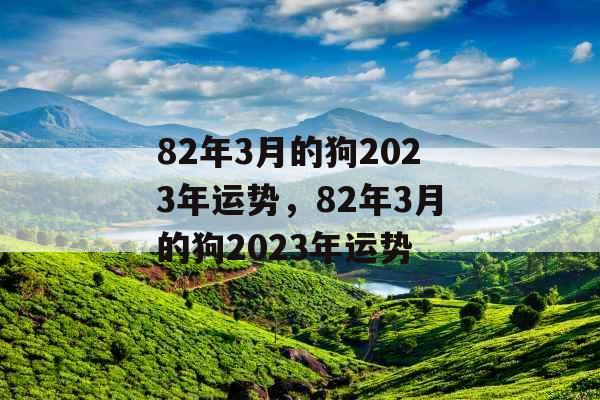 82年3月的狗2023年运势，82年3月的狗2023年运势
