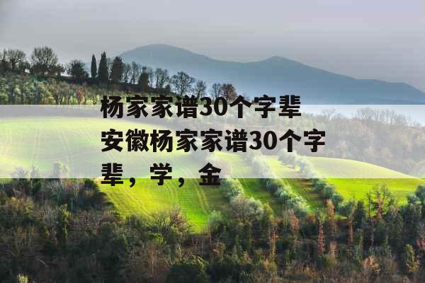 杨家家谱30个字辈 安徽杨家家谱30个字辈,学,金