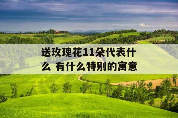 送玫瑰花11朵代表什么 有什么特别的寓意