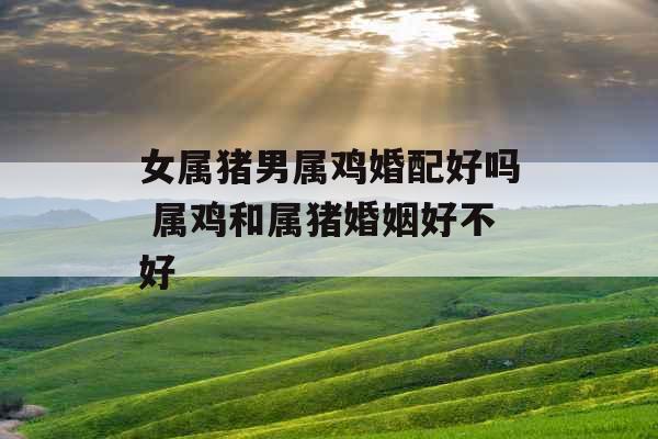 女属猪男属鸡婚配好吗 属鸡和属猪婚姻好不好