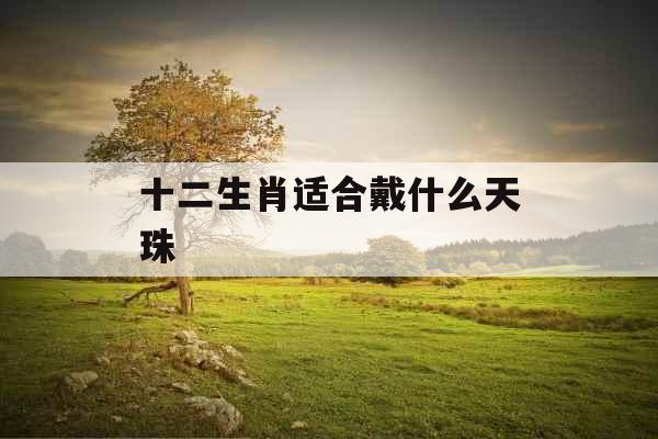 十二生肖适合戴什么天珠