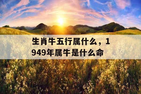 生肖牛五行属什么，1949年属牛是什么命