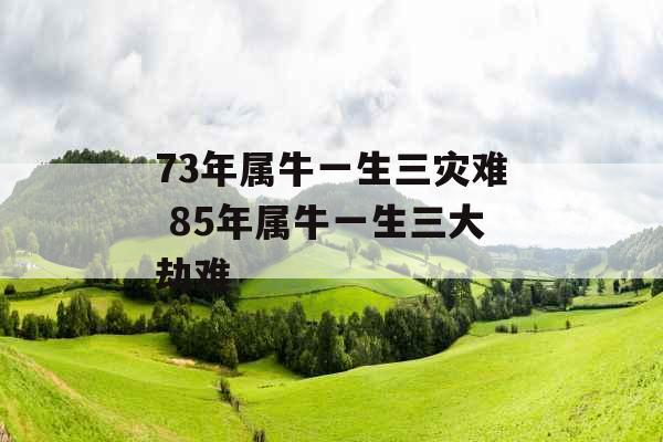 73年属牛一生三灾难 85年属牛一生三大劫难