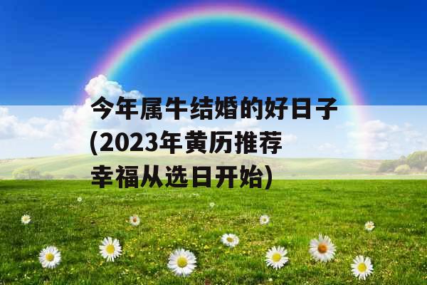 今年属牛结婚的好日子(2023年黄历推荐幸福从选日开始)