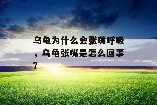 乌龟为什么会张嘴呼吸，乌龟张嘴是怎么回事？
