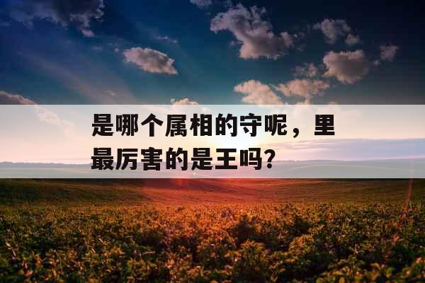 是哪个属相的守呢，里最厉害的是王吗？