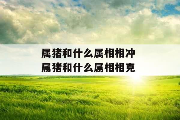 属猪和什么属相相冲 属猪和什么属相相克 属猪和什么属相相冲 属猪和什么属相相克