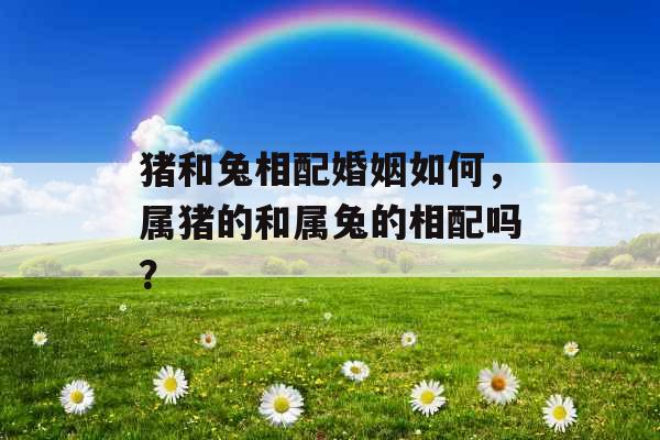 猪和兔相配婚姻如何,属猪的和属兔的相配吗? 猪和兔相配婚姻如何,属猪的和属兔的相配吗?