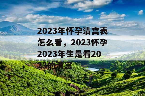 2023年怀孕清宫表怎么看，2023怀孕2023年生是看2023的清宫