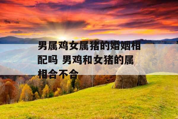 男属鸡女属猪的婚姻相配吗 男鸡和女猪的属相合不合