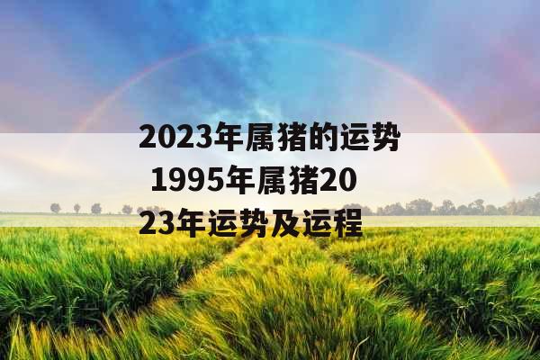2023年属猪的运势 1995年属猪2023年运势及运程