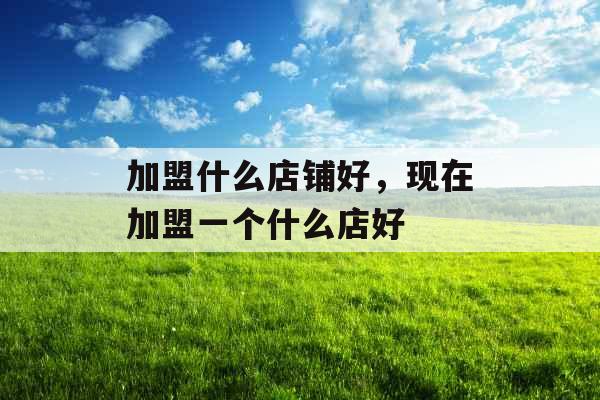 加盟什么店铺好,现在加盟一个什么店好