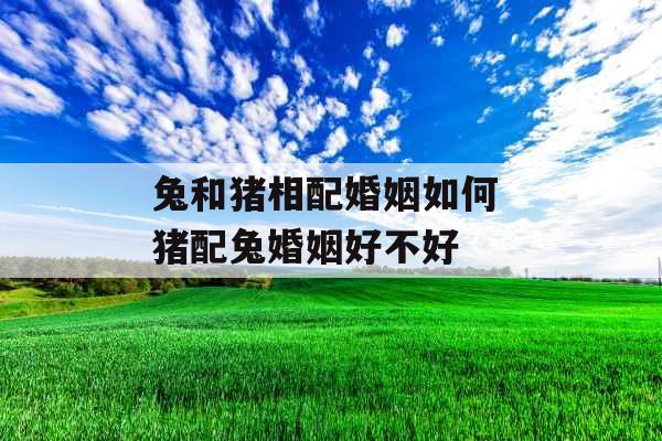 兔和猪相配婚姻如何 猪配兔婚姻好不好 兔和猪相配婚姻如何 猪配兔婚姻好不好