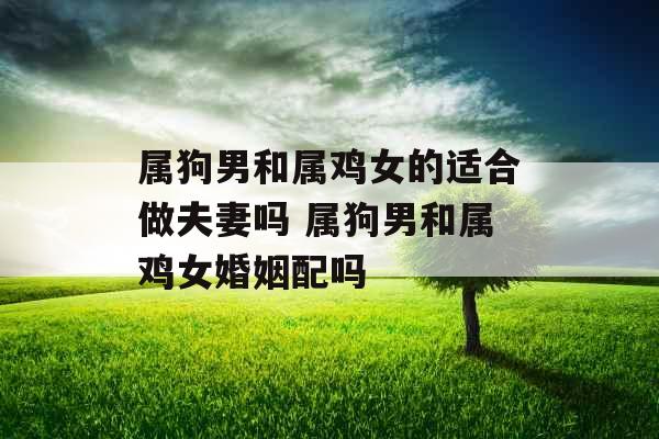 属狗男和属鸡女的适合做夫妻吗 属狗男和属鸡女婚姻配吗 属狗男和属鸡女的适合做夫妻吗 属狗男和属鸡女婚姻配吗