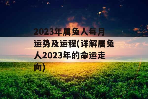 2023年属兔人每月运势及运程(详解属兔人2023年的命运走向) 2023年属兔人每月运势及运程(详解属兔人2023年的命运走向)