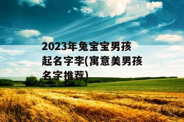 2023年兔宝宝男孩起名字李(寓意美男孩名字推荐)