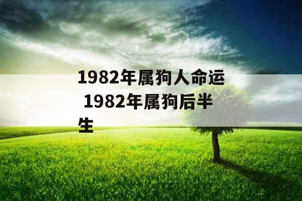 1982年属狗人命运 1982年属狗后半生