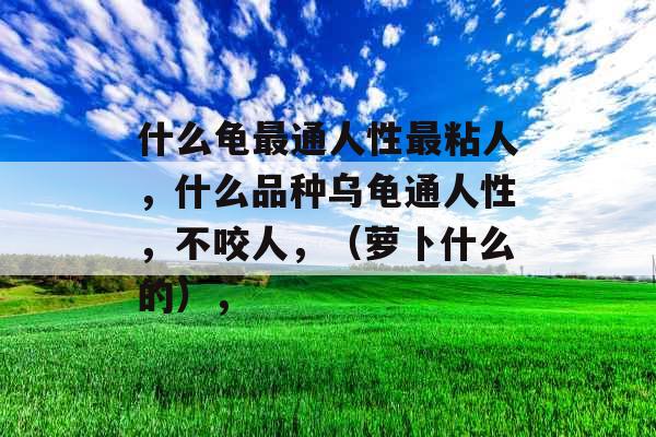 什么龟最通人性最粘人，什么品种乌龟通人性，不咬人，（萝卜什么的），