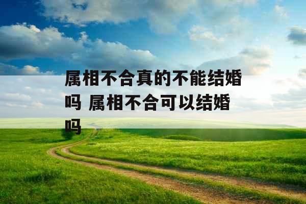 属相不合真的不能结婚吗 属相不合可以结婚吗