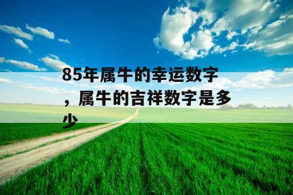 85年属牛的幸运数字,属牛的吉祥数字是多少