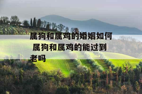 属狗和属鸡的婚姻如何 属狗和属鸡的能过到老吗