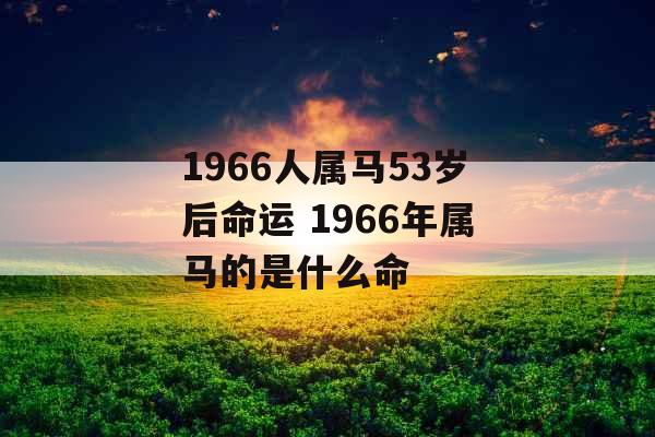 1966人属马53岁后命运 1966年属马的是什么命