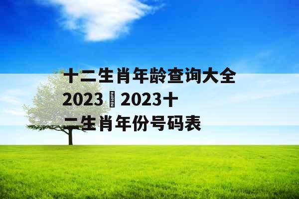 十二生肖年龄查询大全2023 2023十二生肖年份号码表