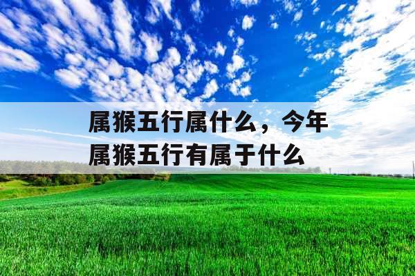 属猴五行属什么，今年属猴五行有属于什么
