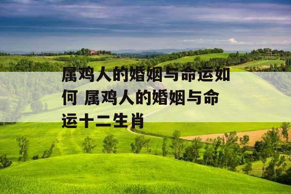 属鸡人的婚姻与命运如何 属鸡人的婚姻与命运十二生肖 属鸡人的婚姻与命运如何 属鸡人的婚姻与命运十二生肖