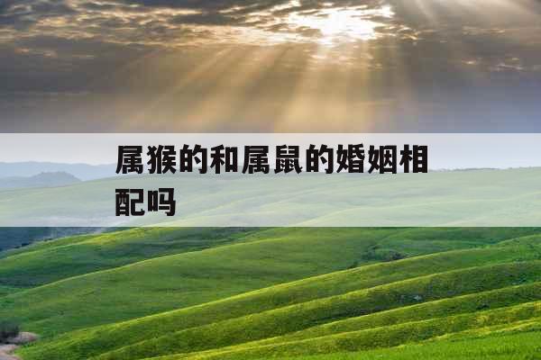 属猴的和属鼠的婚姻相配吗