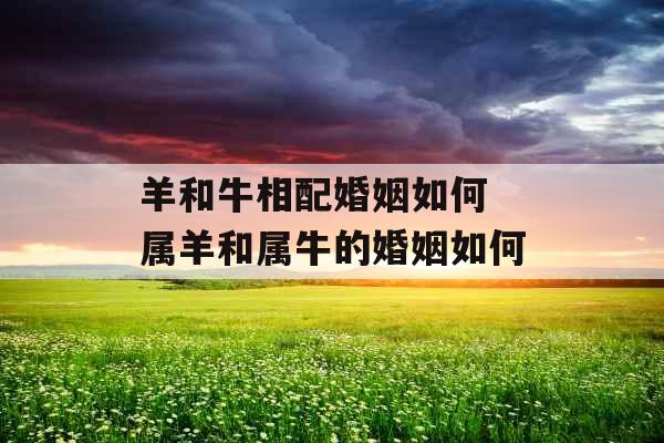 羊和牛相配婚姻如何 属羊和属牛的婚姻如何