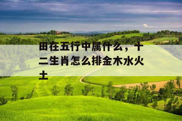 田在五行中属什么,十二生肖怎么排金木水火土 田在五行中属什么,十二生肖怎么排金木水火土