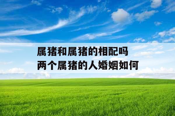 属猪和属猪的相配吗 两个属猪的人婚姻如何