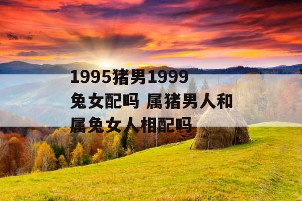 1995猪男1999兔女配吗 属猪男人和属兔女人相配吗