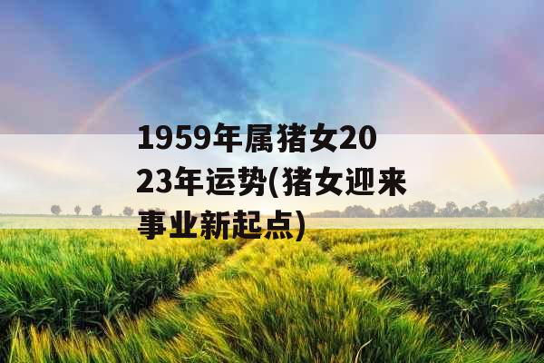 1959年属猪女2023年运势(猪女迎来事业新起点)