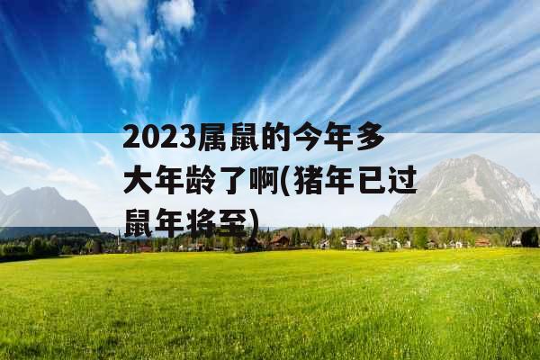 2023属鼠的今年多大年龄了啊(猪年已过鼠年将至) 2023属鼠的今年多大年龄了啊(猪年已过鼠年将至)