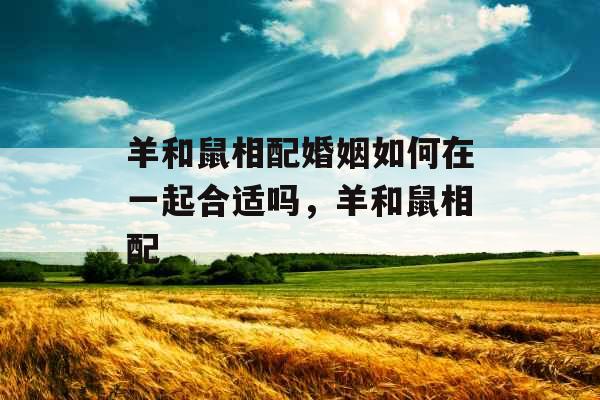 羊和鼠相配婚姻如何在一起合适吗，羊和鼠相配