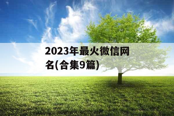 2023年最火微信网名(合集9篇)