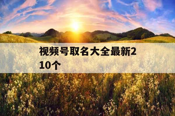 视频号取名大全最新210个