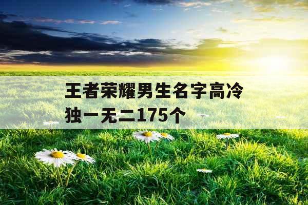 王者荣耀男生名字高冷独一无二175个