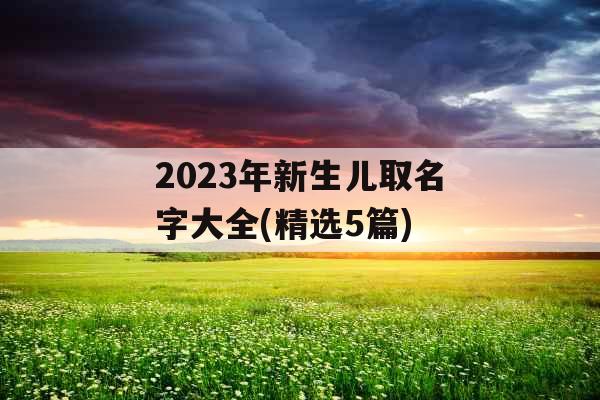2023年新生儿取名字大全(精选5篇)