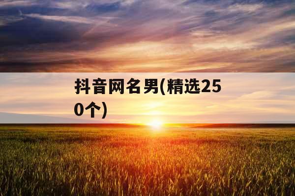 抖音网名男(精选250个)