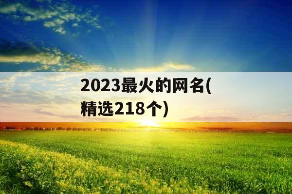 2023最火的网名(精选218个)