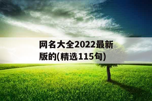 网名大全2022最新版的(精选115句)