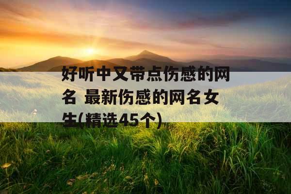 好听中又带点伤感的网名 最新伤感的网名女生(精选45个)