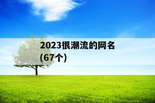 2023很潮流的网名(67个) 2023很潮流的网名(67个)