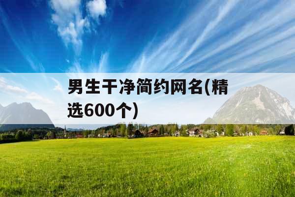 男生干净简约网名(精选600个)